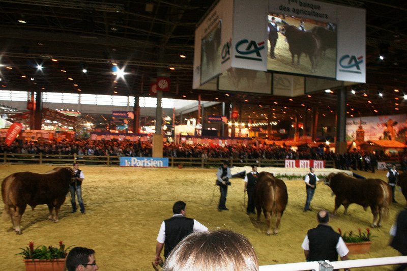cga 2012 021.JPG